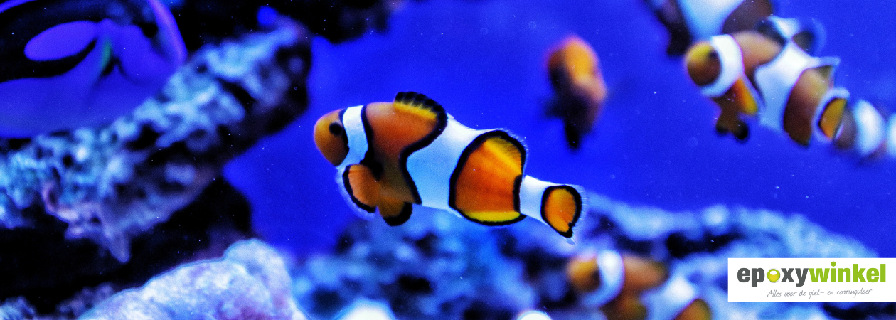 Epoxy aquarium
