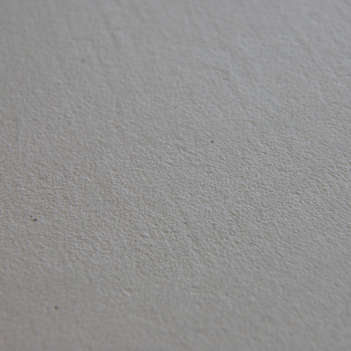 Beton Ciré Nahaufnahme